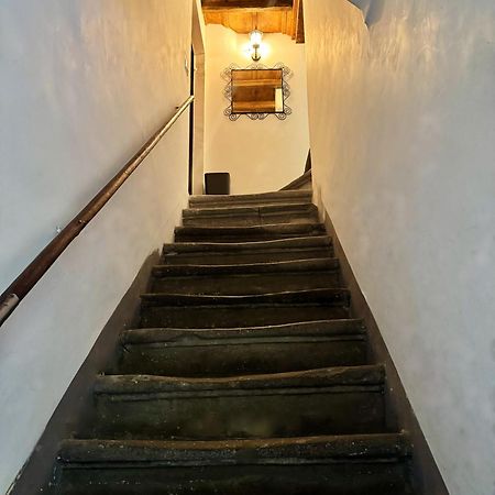 Apartament Navona Fox House Rzym Zewnętrze zdjęcie