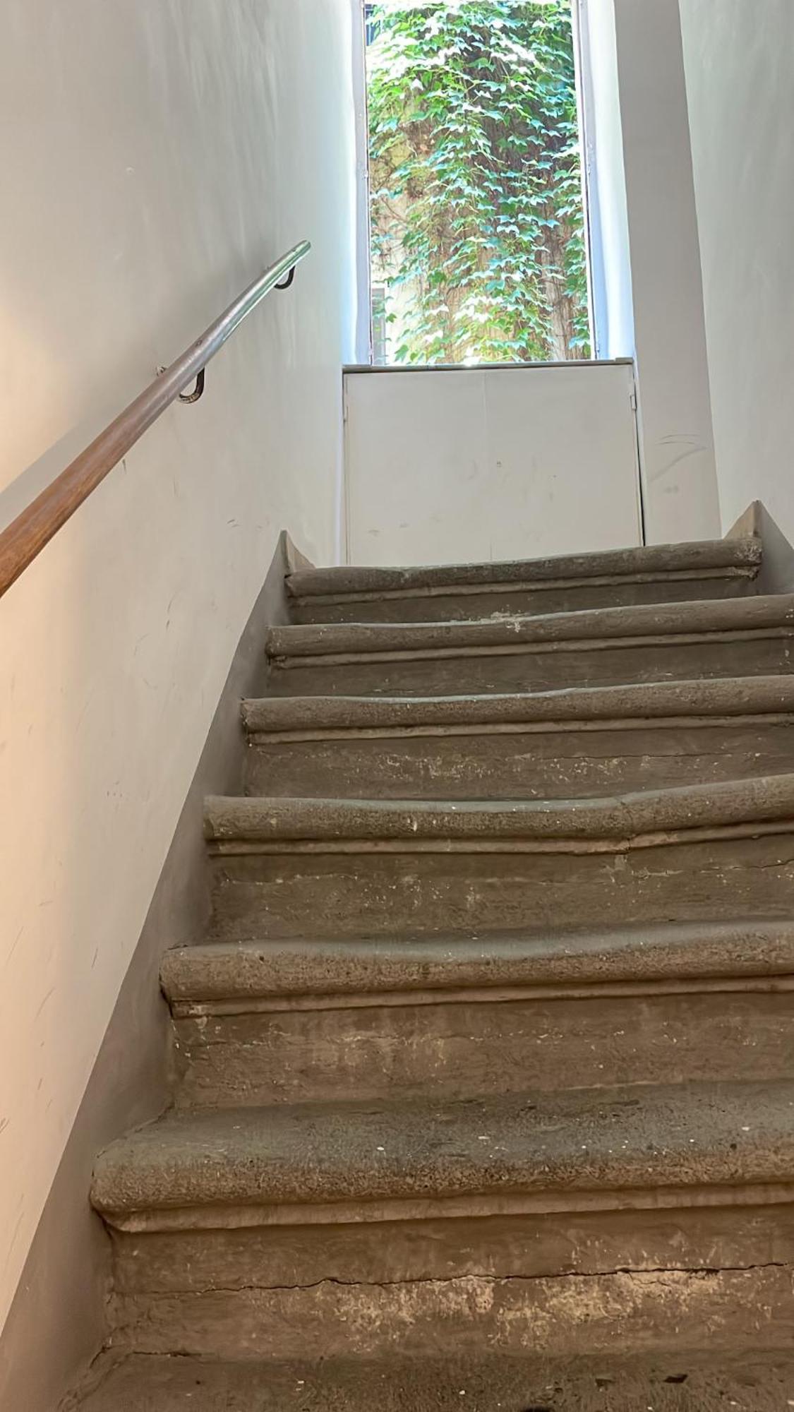Apartament Navona Fox House Rzym Zewnętrze zdjęcie